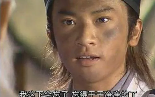 影视剧照：张无忌面带错愕，字幕为「我这下全忘了 忘得干干净净的了」，对应文中「忘掉招式、只留内力」的比喻