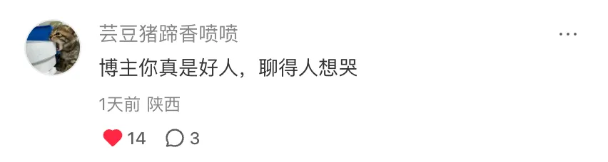 用户评论:博主你真是好人,聊得人想哭